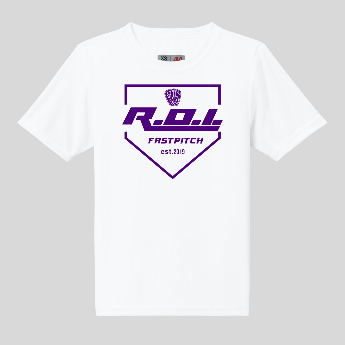 ROI Logo Home Plate
