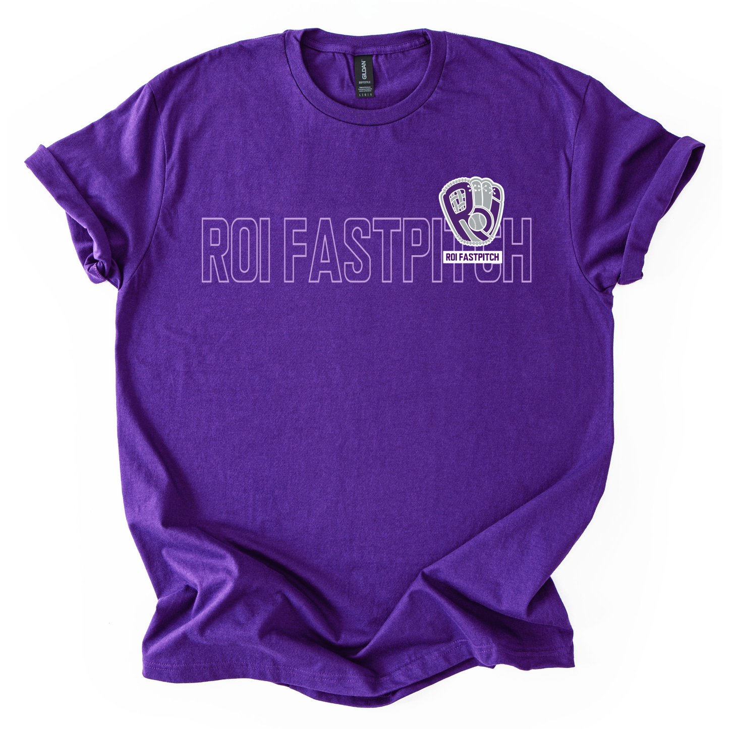 ROI FASTPITCH Outline
