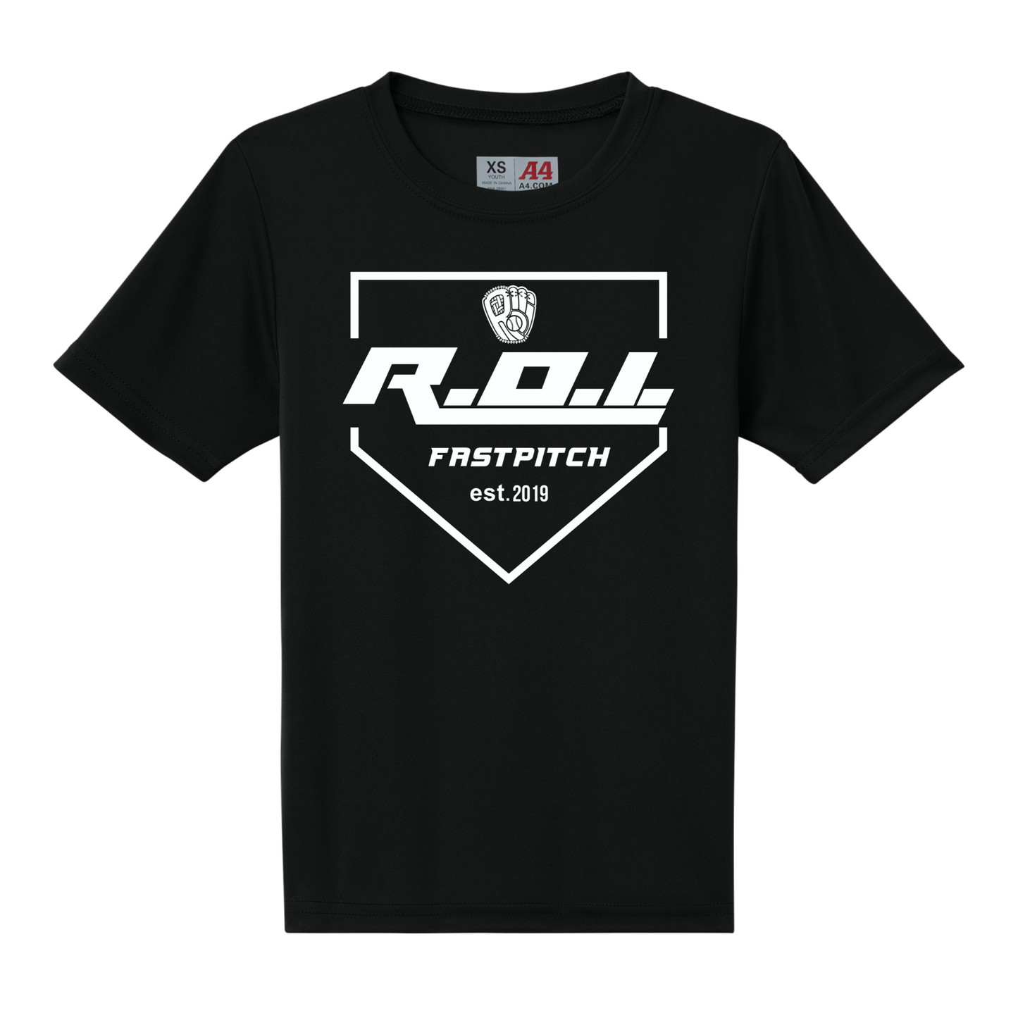 ROI Logo Home Plate